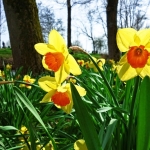 Norfolk & East Anglia Jobs Market Update